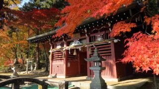 鳩ヶ嶺八幡宮_随神門_紅葉