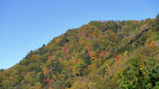 風越山_紅葉