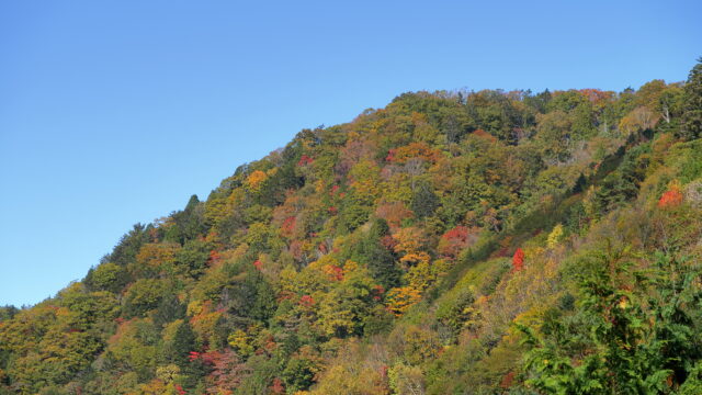 風越山_紅葉