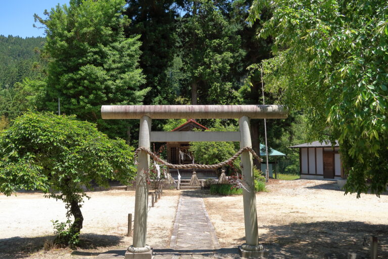 樹齢1800年!天然記念物「月瀬の大スギ」