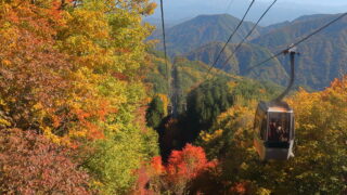 ヘブンスそのはら_紅葉