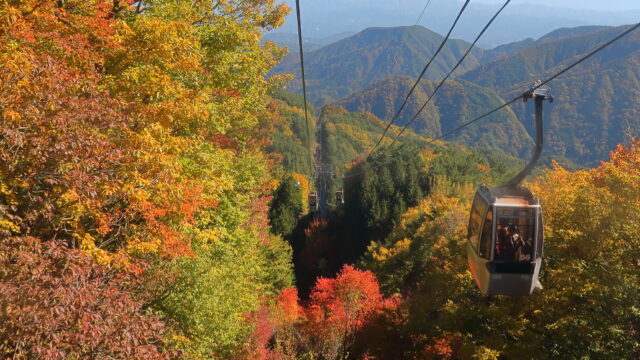 ヘブンスそのはら_紅葉