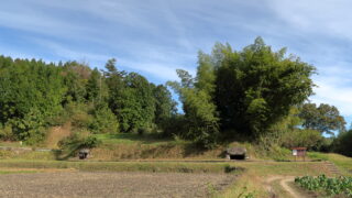 飯田古墳群_馬背塚古墳