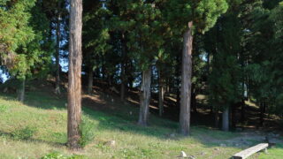 飯田古墳群_高岡第一号古墳