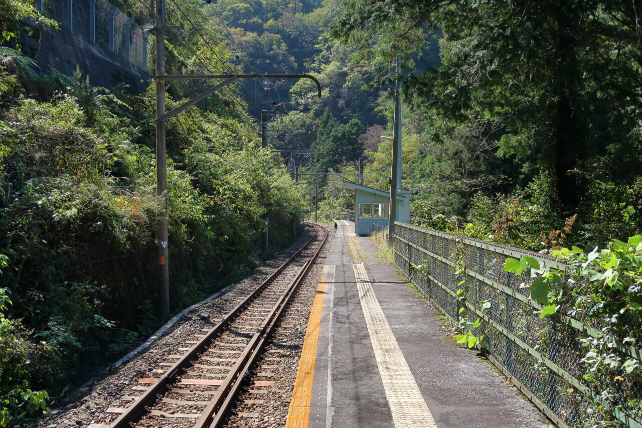 飯田線_金野駅_線路