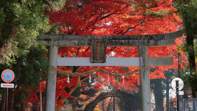 愛宕稲荷神社_紅葉