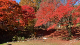 野底山森林公園_紅葉