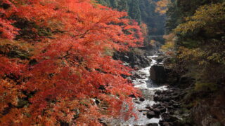 小戸名渓谷_紅葉