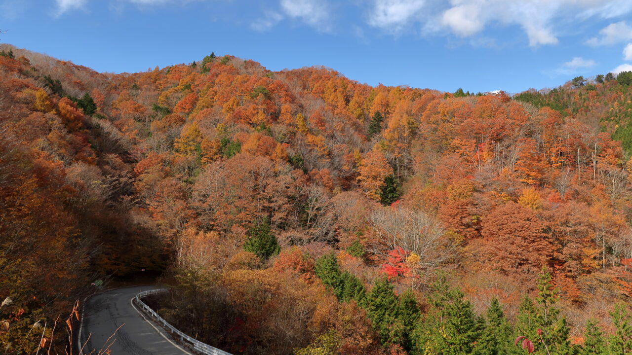 紅葉で染まる平谷峠「やまなみ広場（売木村）」｜ぶらたび長野
