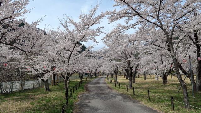 松島桜公園_平岡発電所