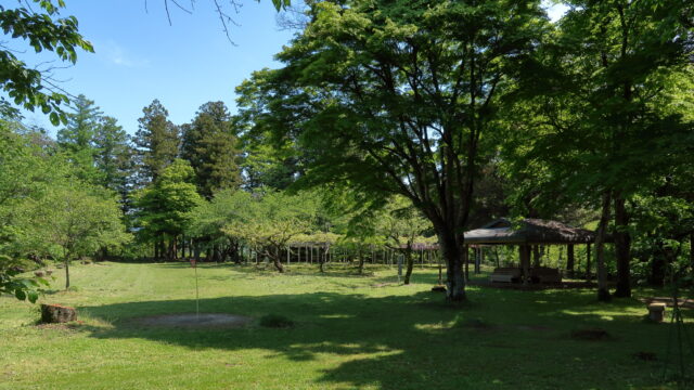 台城公園(大島城跡)_新緑