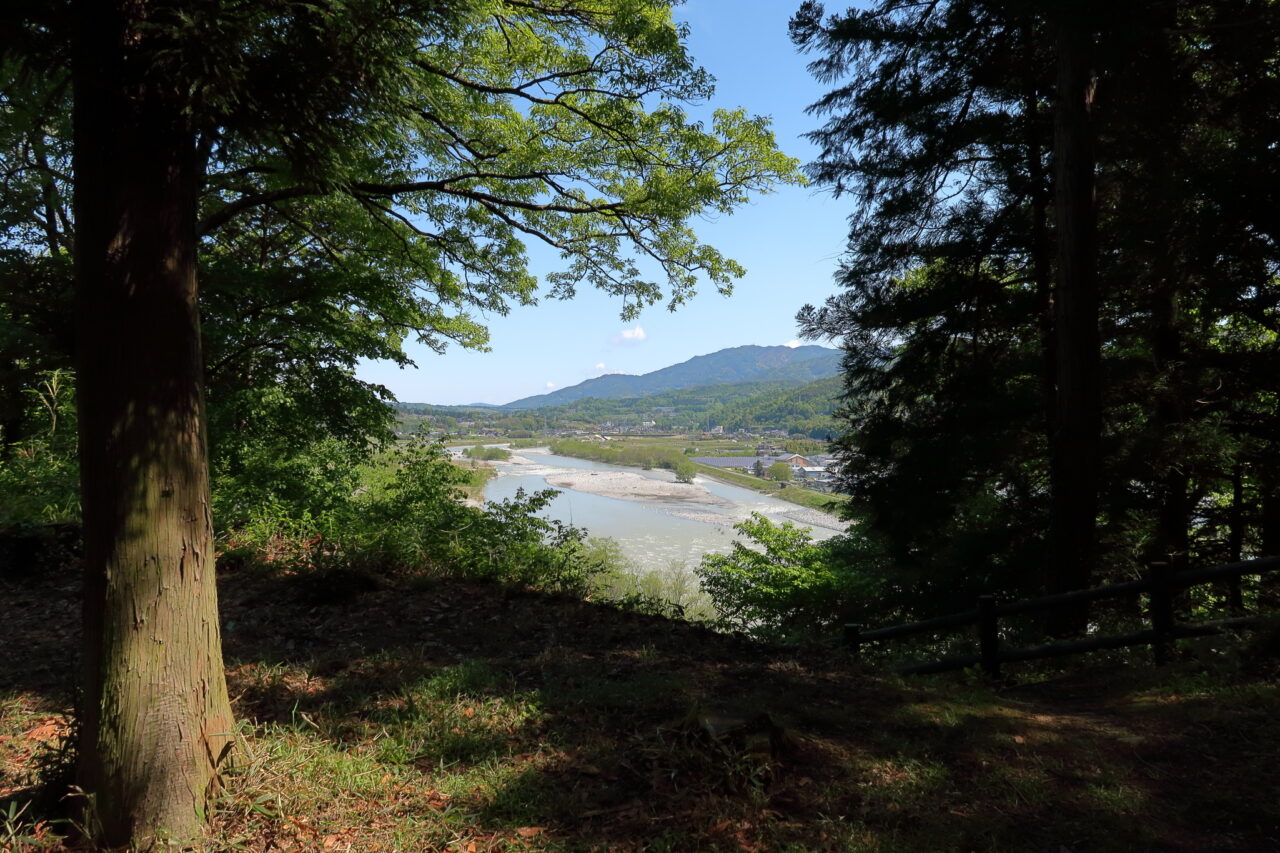 台城公園(大島城跡)_新緑_天竜川
