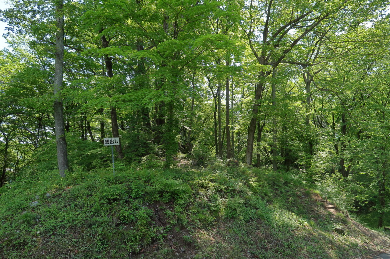 台城公園(大島城跡)_新緑_馬出
