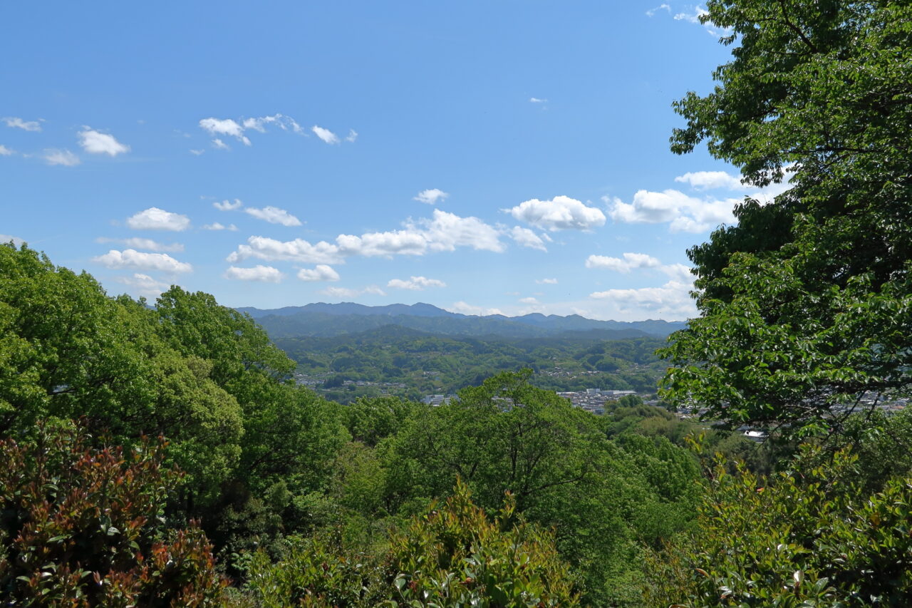 松尾城址公園_新緑_眺望