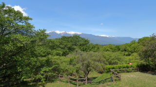 大草城址公園_新緑