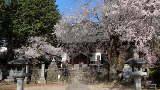 瑠璃寺_桜_本堂