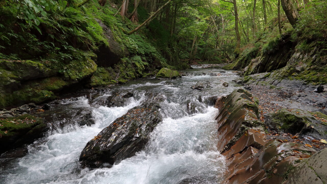 yokokawakeikoku_ic.jpg?v=