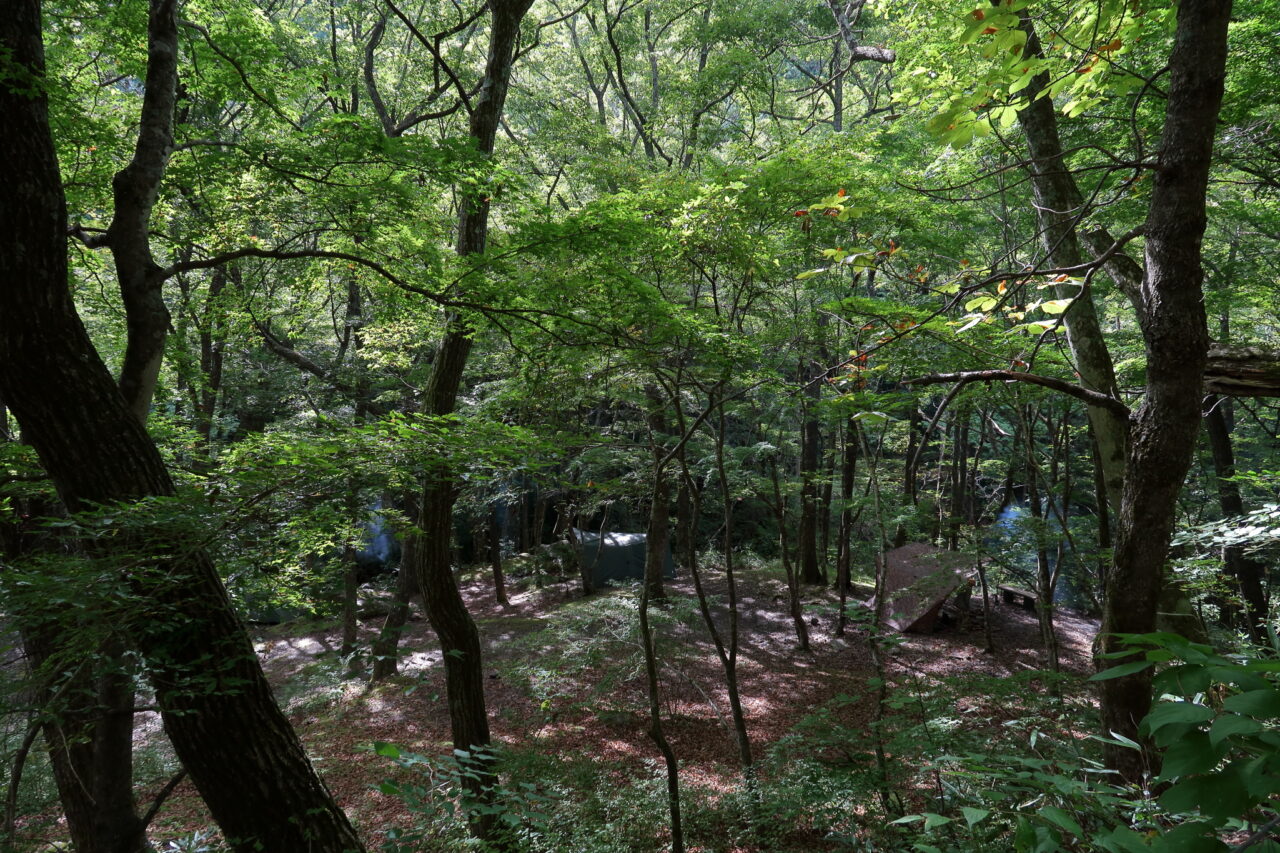 横川渓谷_蛇石キャンプ場