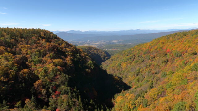 横谷渓谷・横谷峡（紅葉）_横谷観音展望台