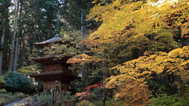 光前寺（紅葉）_三重塔