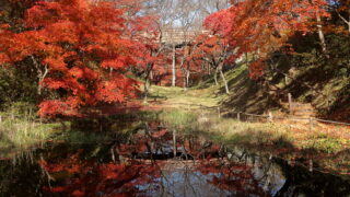 高遠城址公園（紅葉）_お堀