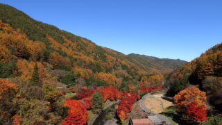 横川渓谷（紅葉）_横川ダム・よこかわ湖