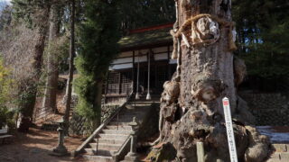 山寺の白山社八幡社合殿のケヤキ_拝殿