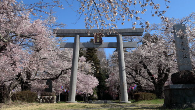 伊那公園(桜)_鳥居