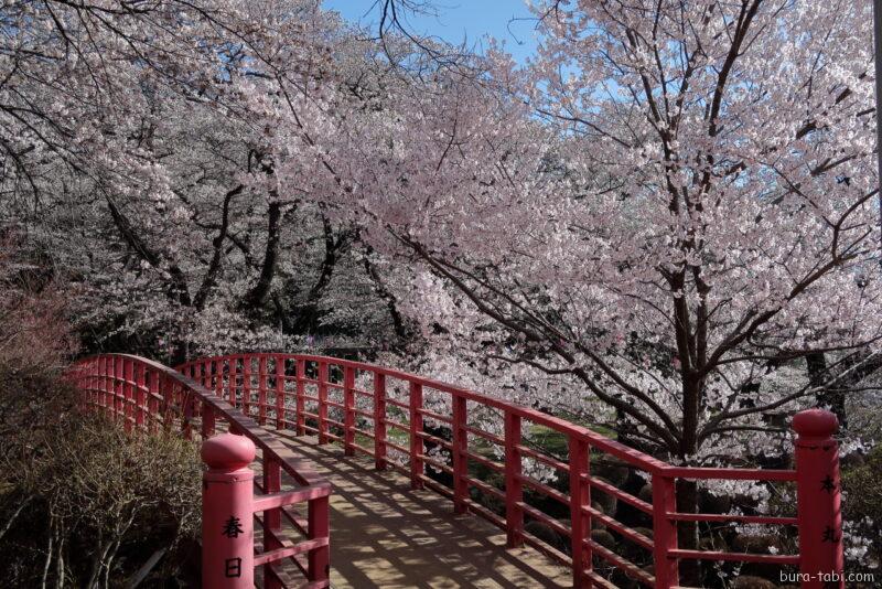 春日公園（桜）_本丸橋