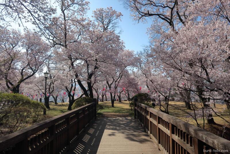 春日公園（桜）_二の丸橋