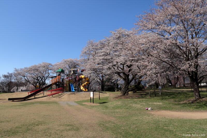 春日公園（桜）_三の丸