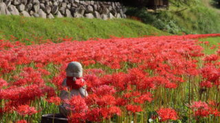 園原の曼珠沙華（彼岸花）_お地蔵様