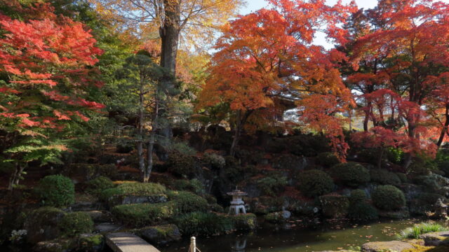 温泉寺（紅葉）_もみじ＆池水式回遊庭園