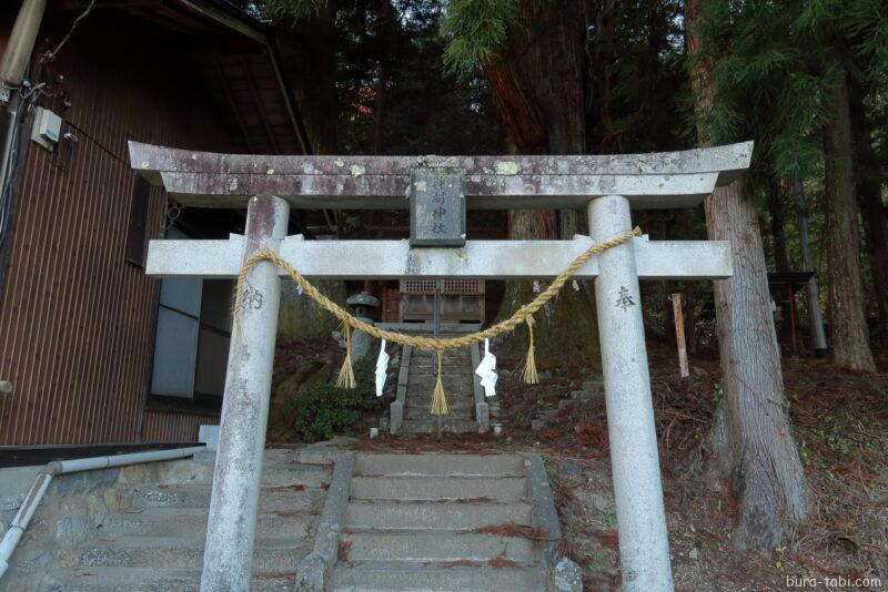 神明神社のスギ_鳥居