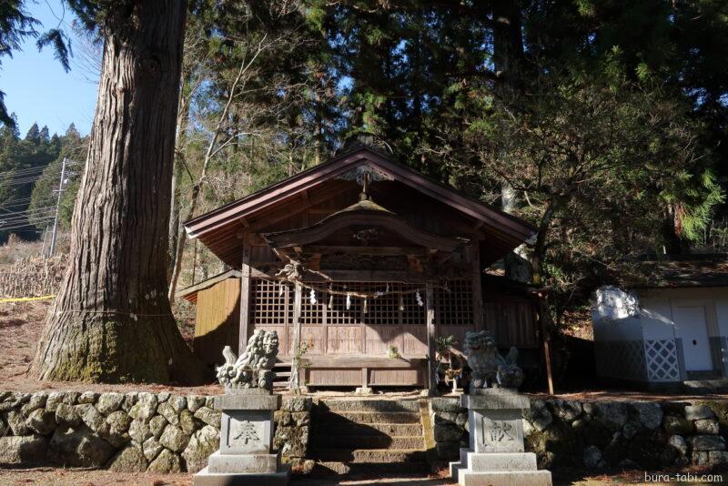 早稲田神社の大杉_拝殿