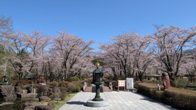 聖光寺の桜_旧燈籠