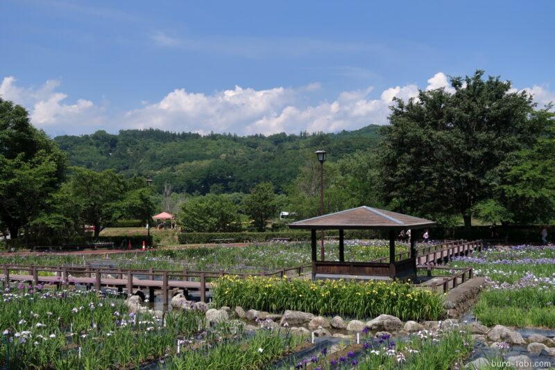 あやめ公園・龍門渕公園（花菖蒲）_東屋