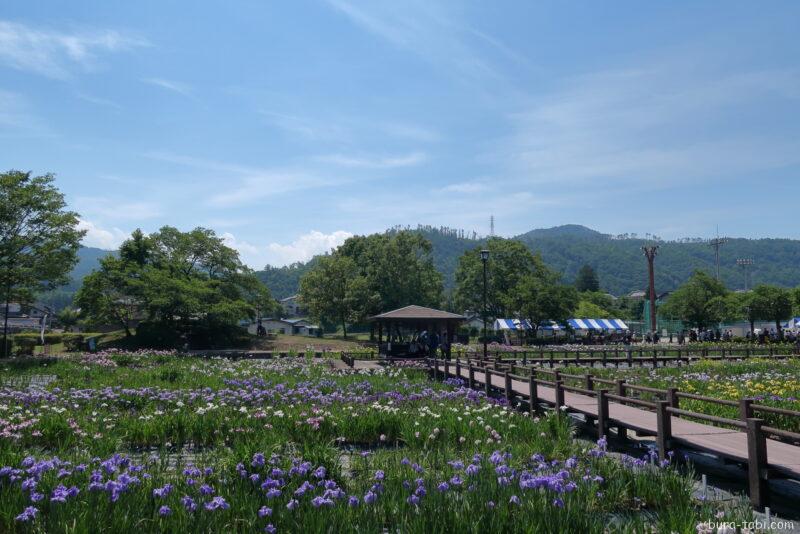 あやめ公園・龍門渕公園（花菖蒲）_東屋