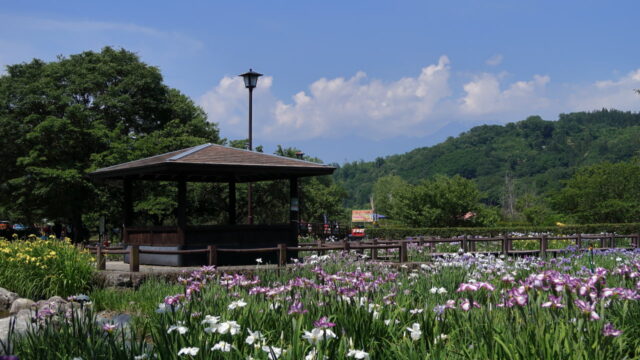 あやめ公園・龍門渕公園(花菖蒲)_東屋