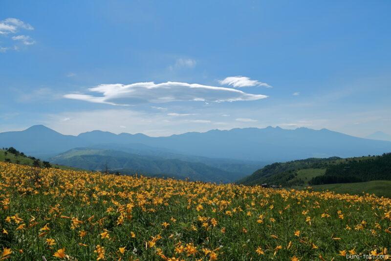 霧ヶ峰高原（ニッコウキスゲ）_富士見台_八ヶ岳連峰