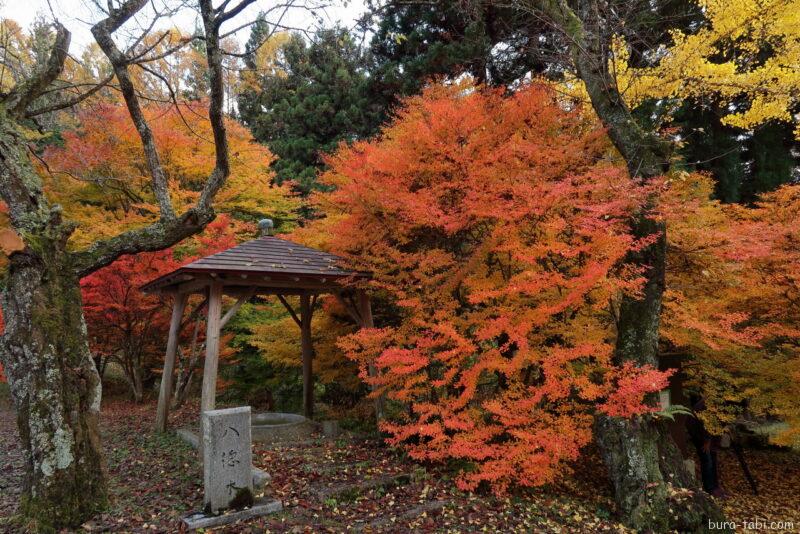 霊松寺（紅葉）_八徳水