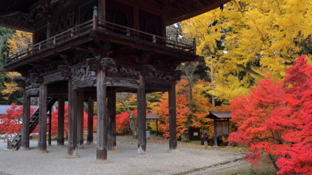 霊松寺（紅葉）_山門