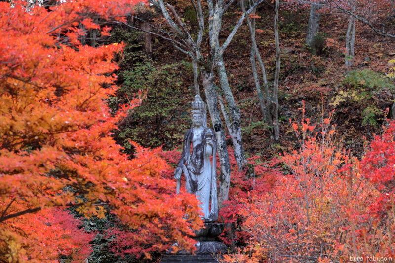 霊松寺（紅葉）_観音様