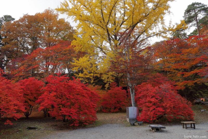 霊松寺（紅葉）_境内