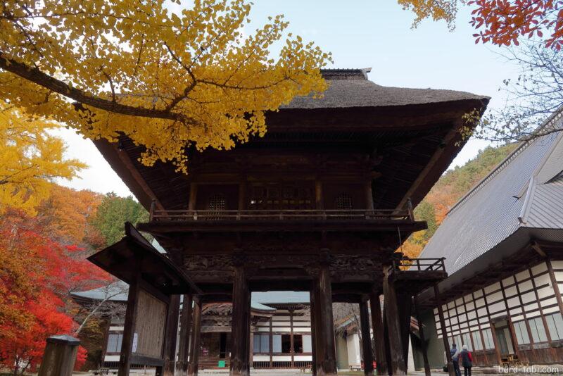 霊松寺（紅葉）_山門