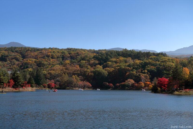 蓼科湖（紅葉）