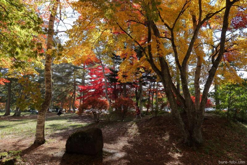 蓼科湖（紅葉）_湖畔