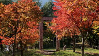 永遠の鐘(紅葉)