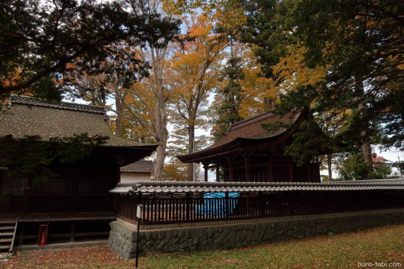 筑摩神社（紅葉）_本殿