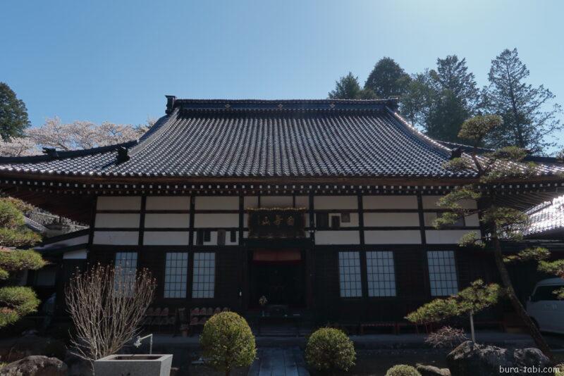 桃源院のしだれ桜_本堂